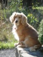 /album/baddy/dsc07721-jpg/